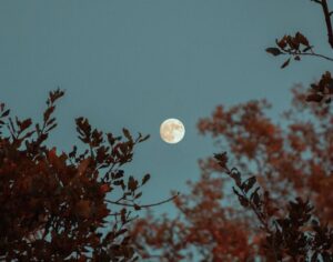 The Spiritual Meaning of Being Born on a Full Moon