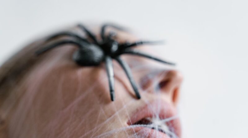 Spiritual-Meaning-of-a-Spider-Crawling-on-My-Face